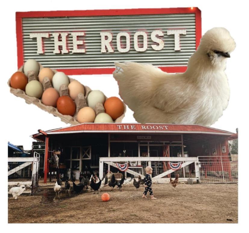 Bunk House The Roost Lakehills