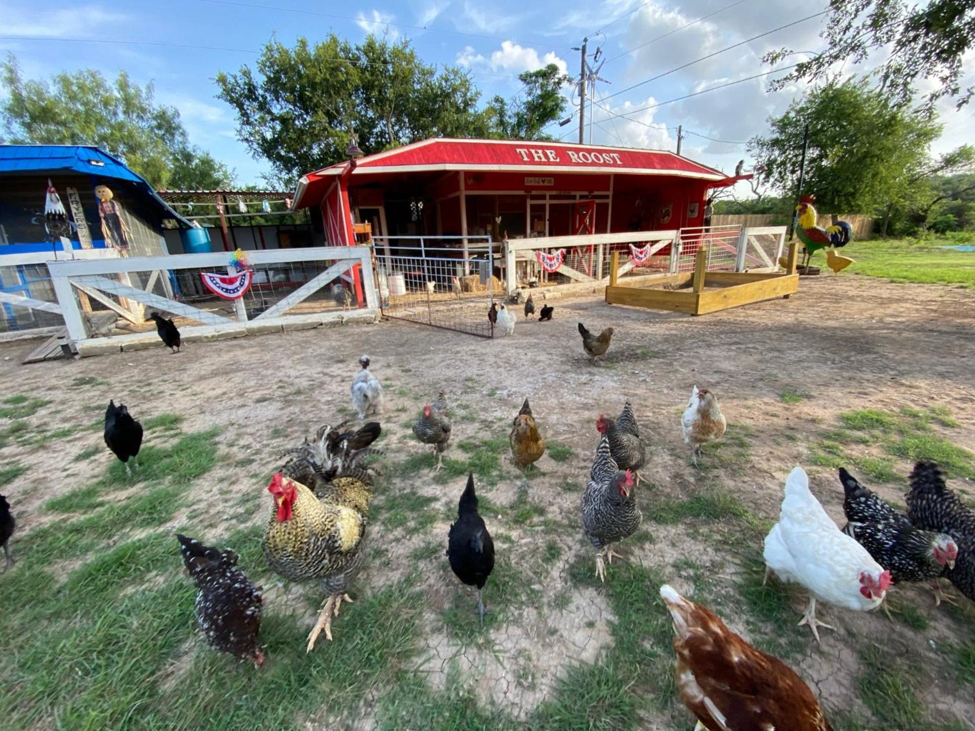 Casa rural Bunk House The Roost Lakehills